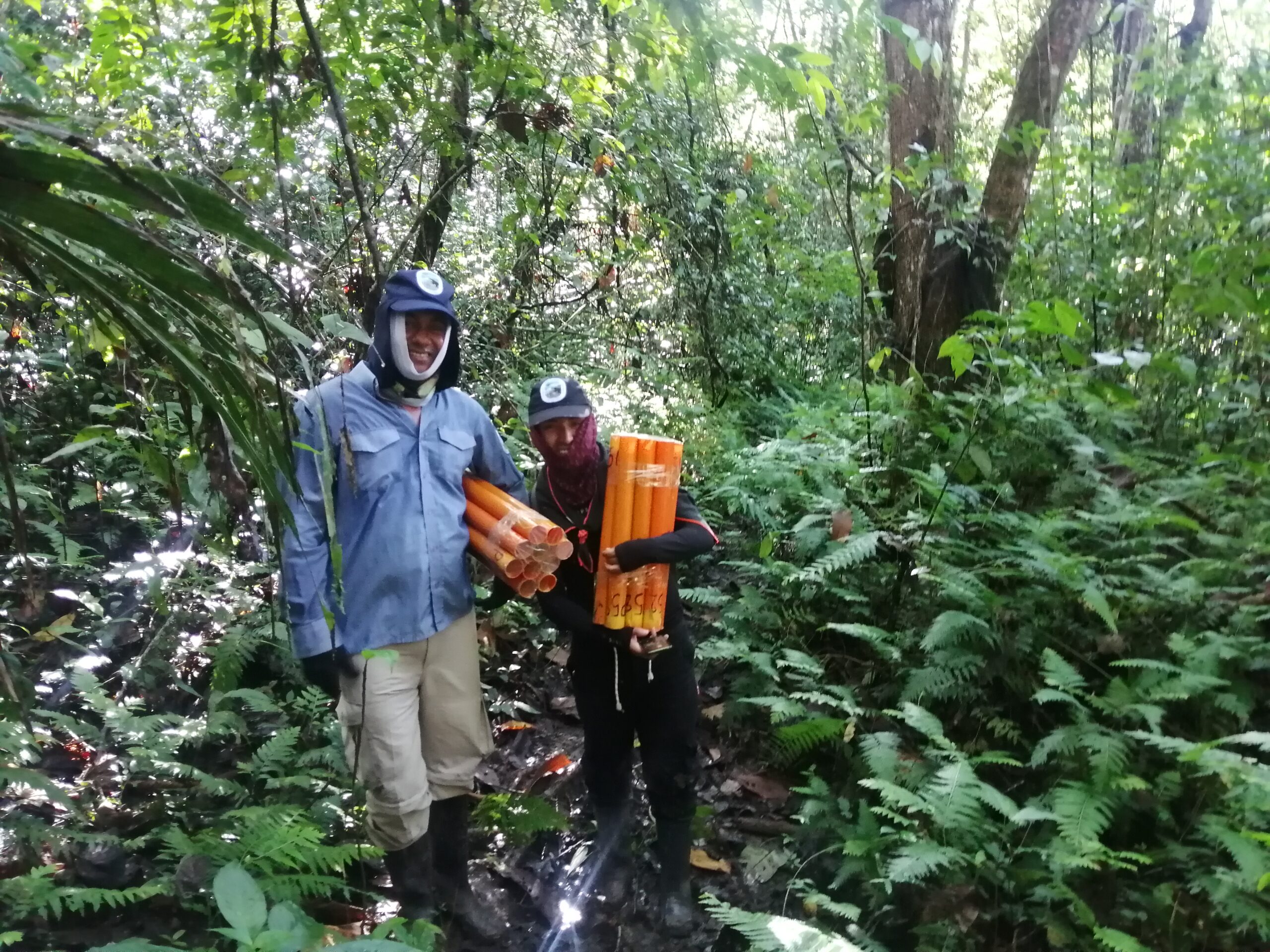 . img 20221110 082428