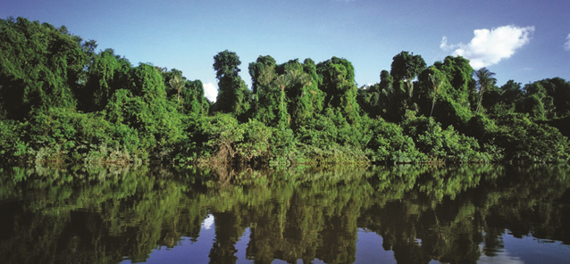 el espejo de agua amacayacu e1735910875569