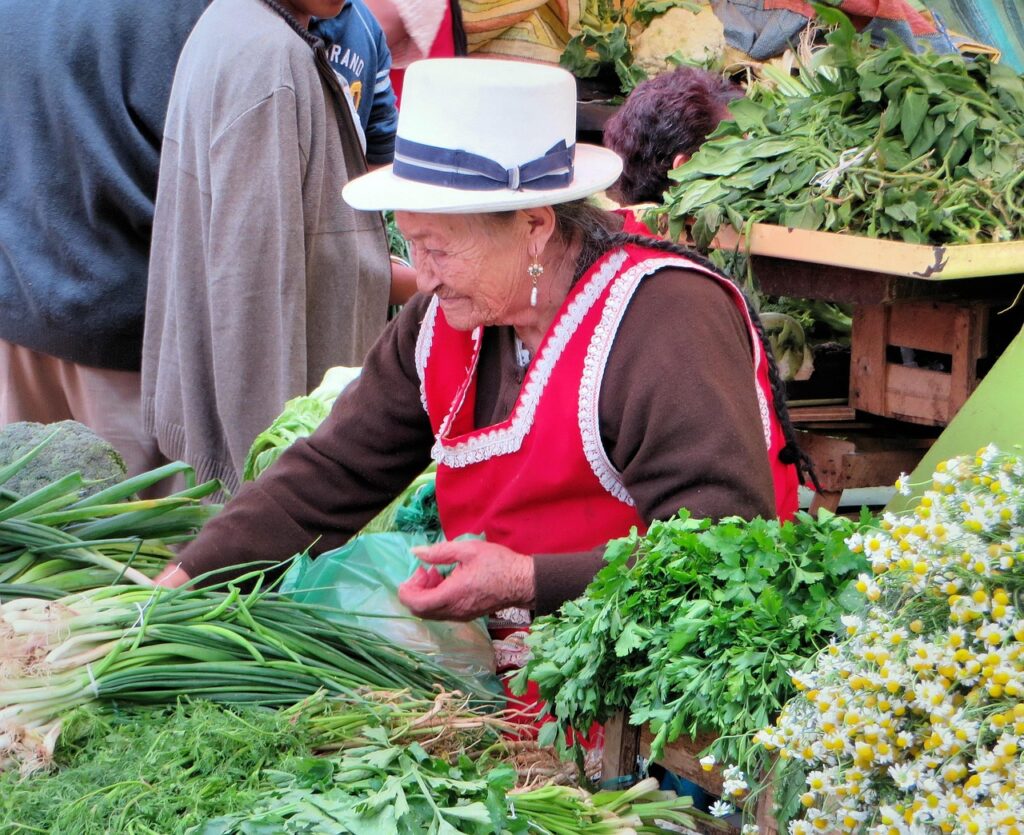 cuenca, ecuador, market, peasant, traditional costume, ecuador, ecuador, ecuador, ecuador, ecuador
