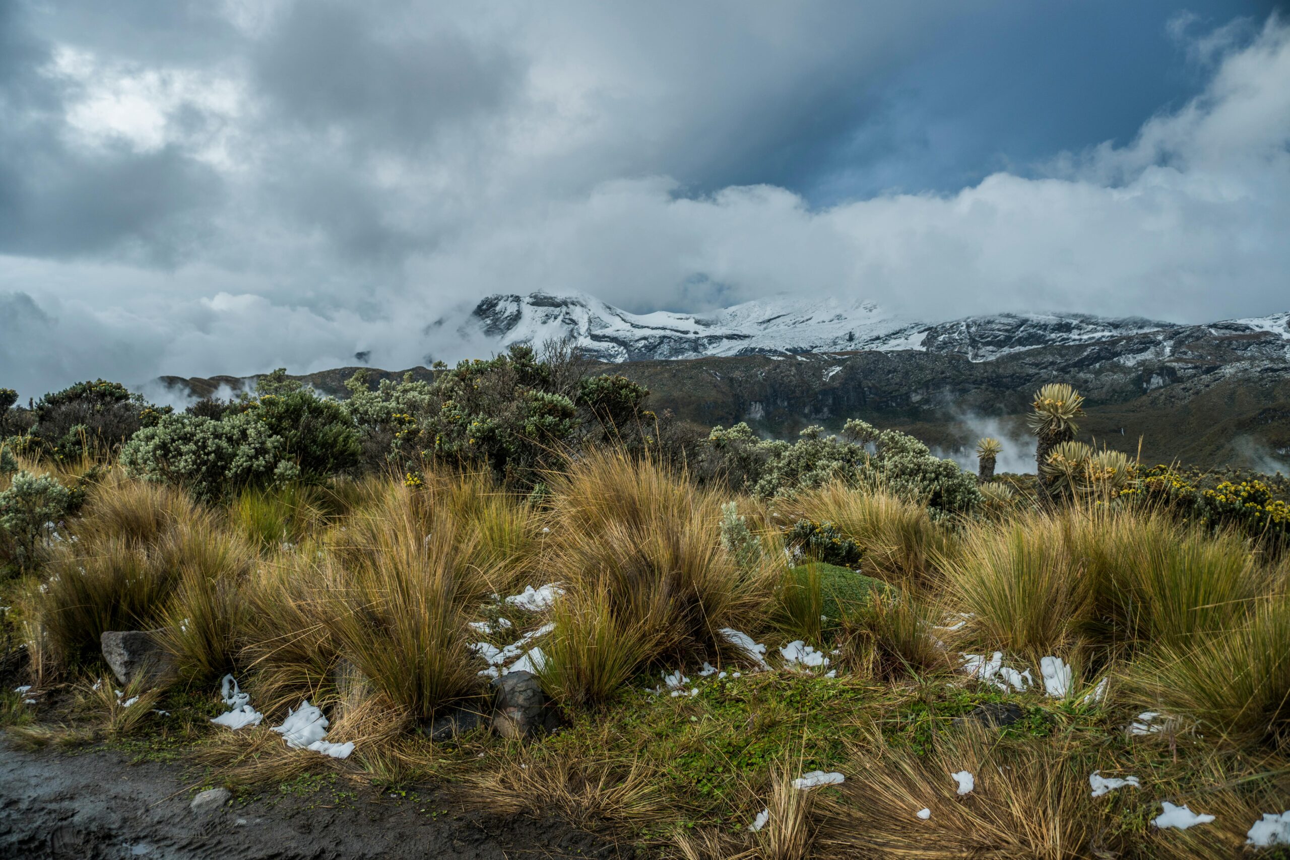 Scenic view of snow-covered mountains and lush greenery in Manizales, Caldas, Colombia.